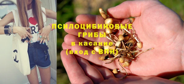 тгк Михайловка
