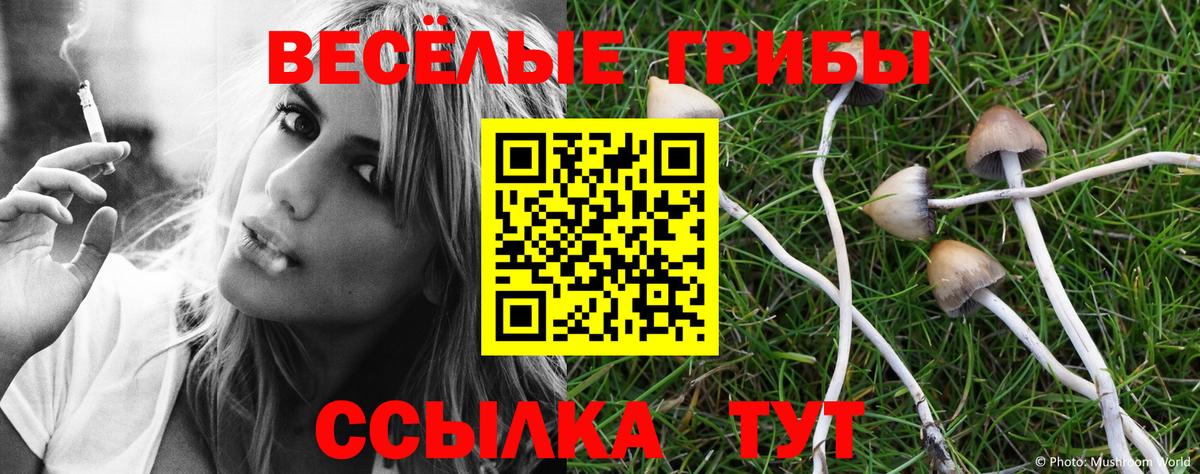 Галлюциногенные грибы GOLDEN TEACHER Майкоп