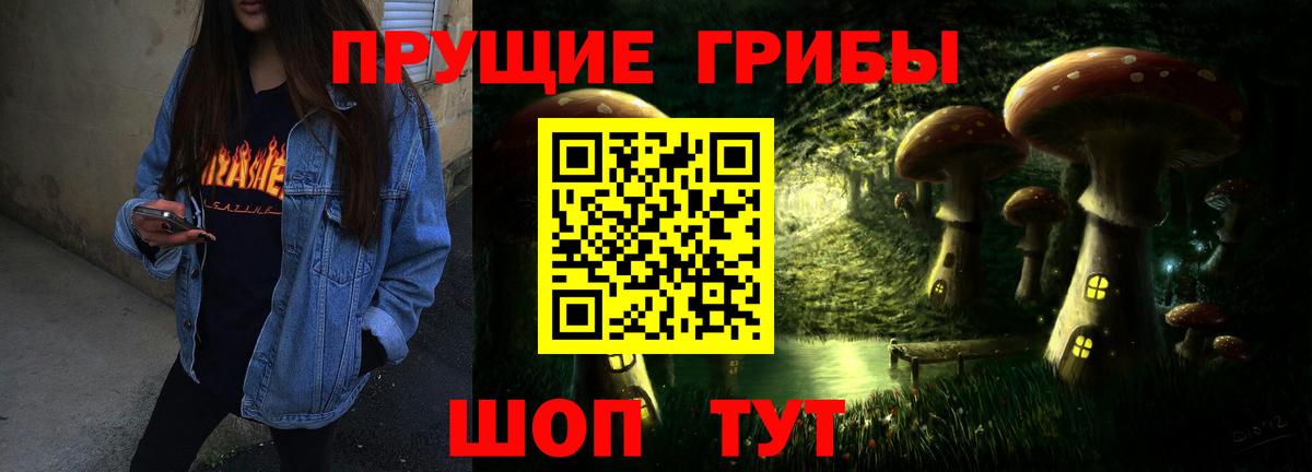 где купить наркоту  Галлюциногенные грибы MAGIC MUSHROOMS  Вход с VPN  Майкоп  Галлюциногенные грибы MAGIC MUSHROOMS 